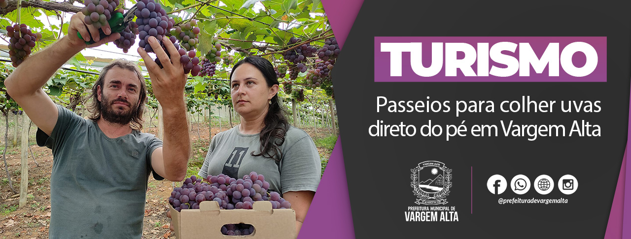 Passeios para colher uvas direto do pé em Vargem Alta